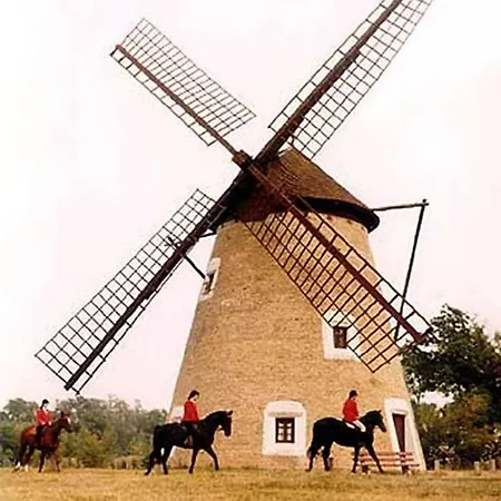 Xxx Country house Mali Beograd